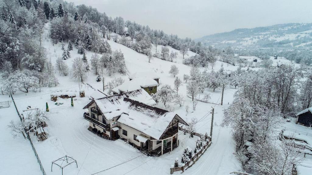 Lacrima Izei Villa Săcel Exteriör bild