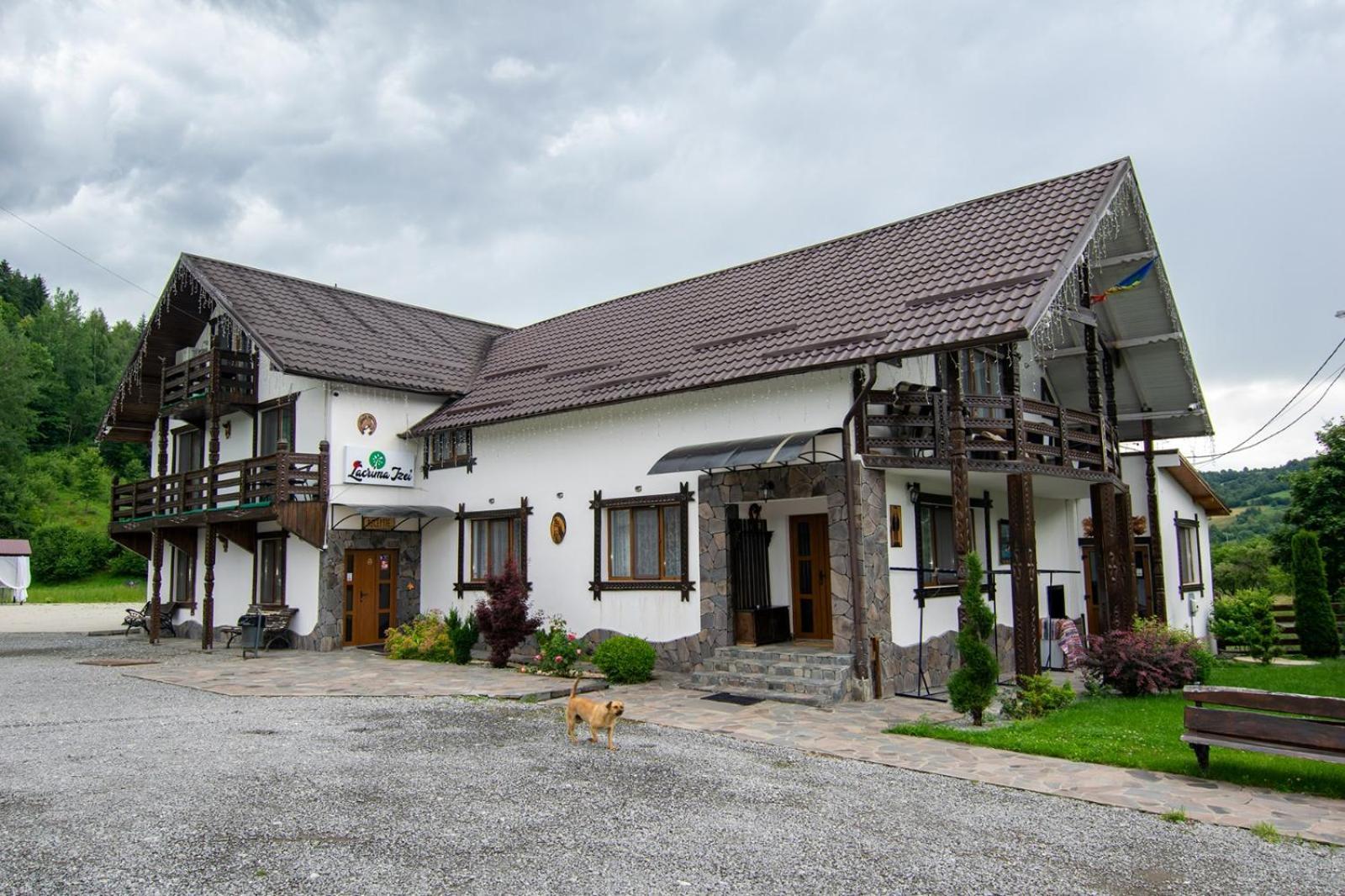 Lacrima Izei Villa Săcel Exteriör bild
