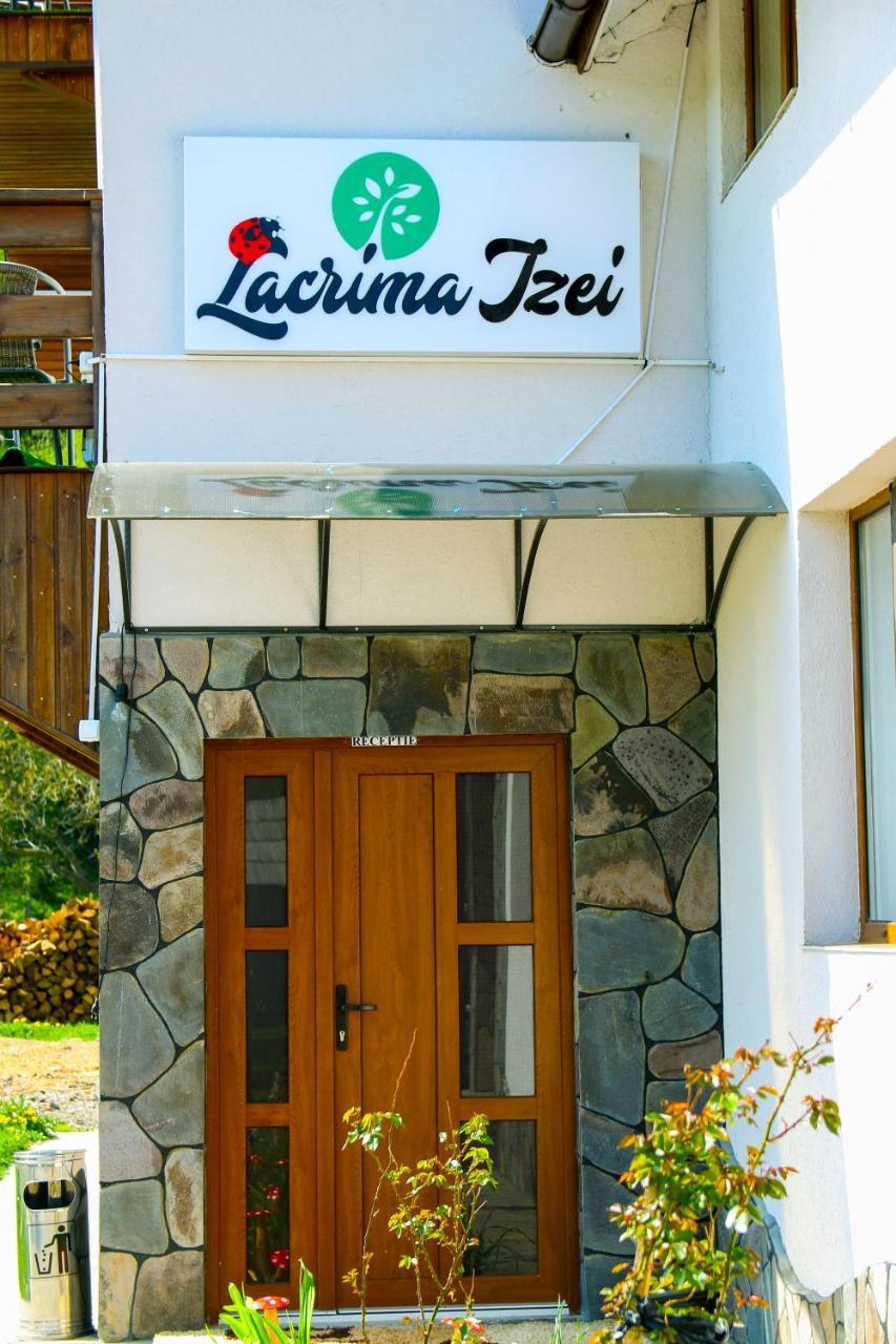 Lacrima Izei Villa Săcel Exteriör bild