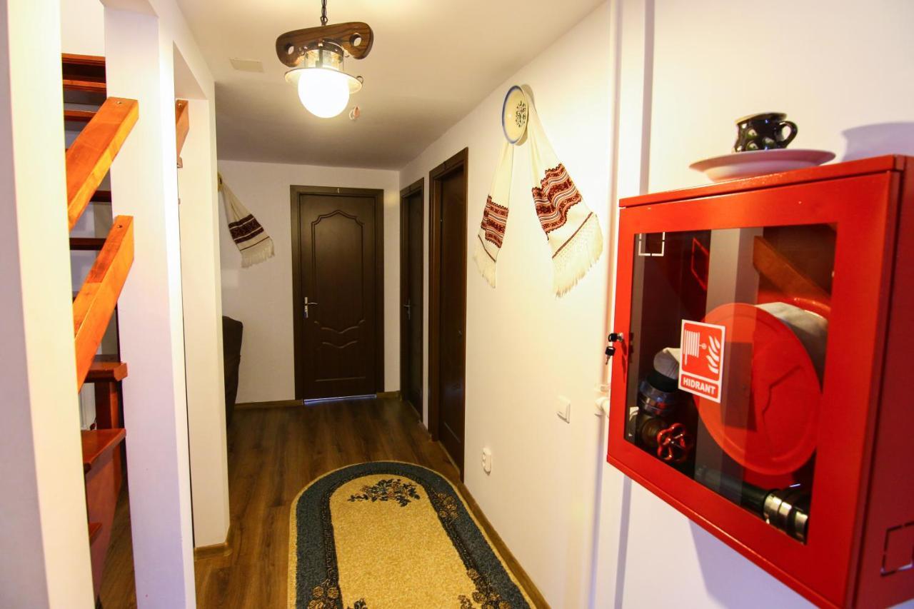 Lacrima Izei Villa Săcel Exteriör bild